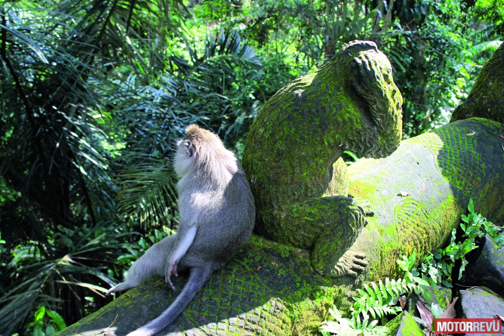 Túrák Túra: Bali