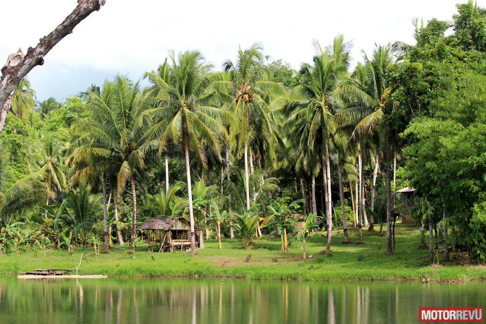 Túrák Túra: Fülöp-szigetek, Bohol, 2. rész Túrák Túra: Fülöp-szigetek, Bohol, 2. rész